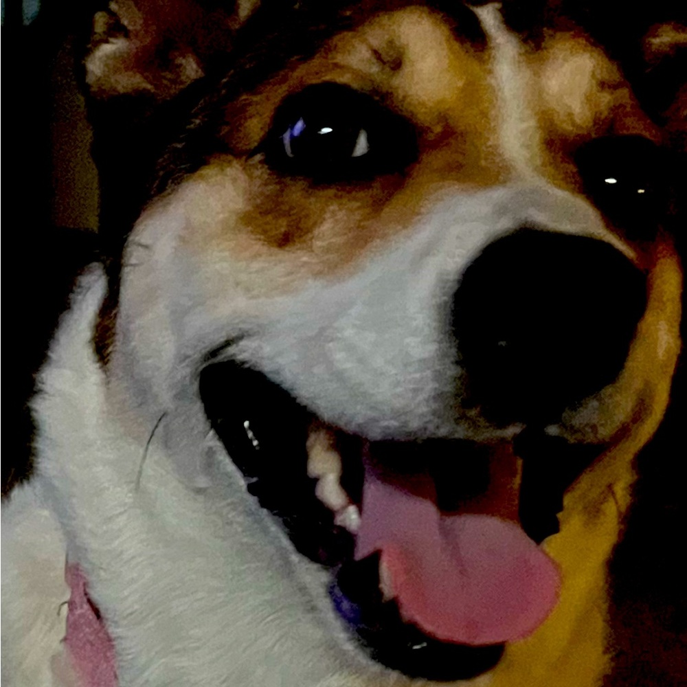 Meet your Posher, Debra